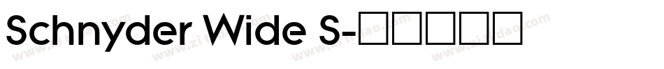 Schnyder Wide S字体转换